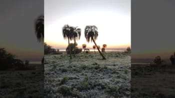 La zona rural de Goya amaneció con una helada este martes,
